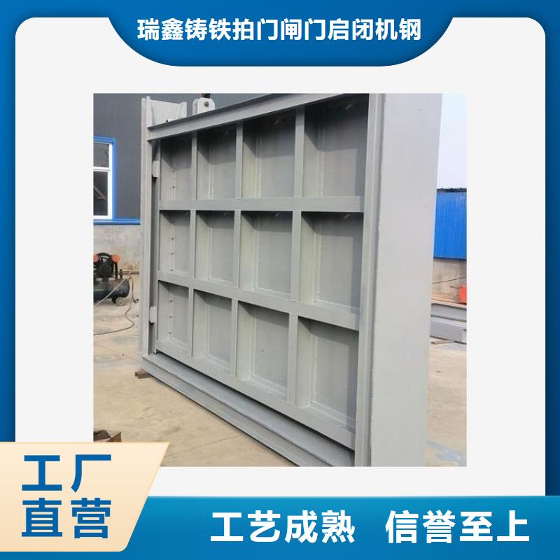 鋼閘門(mén)除污機(jī)優(yōu)選廠(chǎng)商