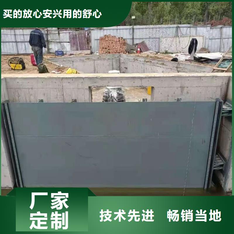 渠道钢制闸门 气动渠道闸门生产商