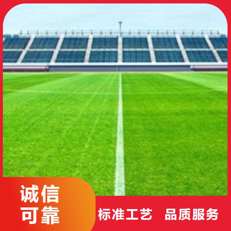 人造草坪塑膠跑道質(zhì)檢合格出廠