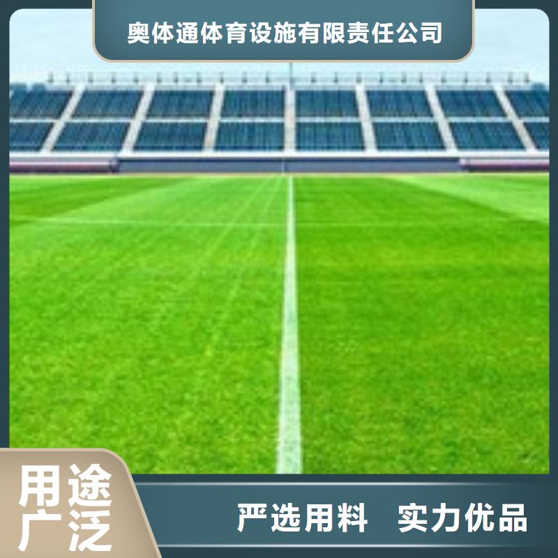 人造草坪室外塑膠跑道24小時(shí)下單發(fā)貨