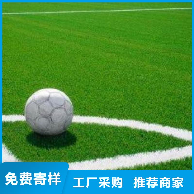 人造草坪塑胶跑道品种全