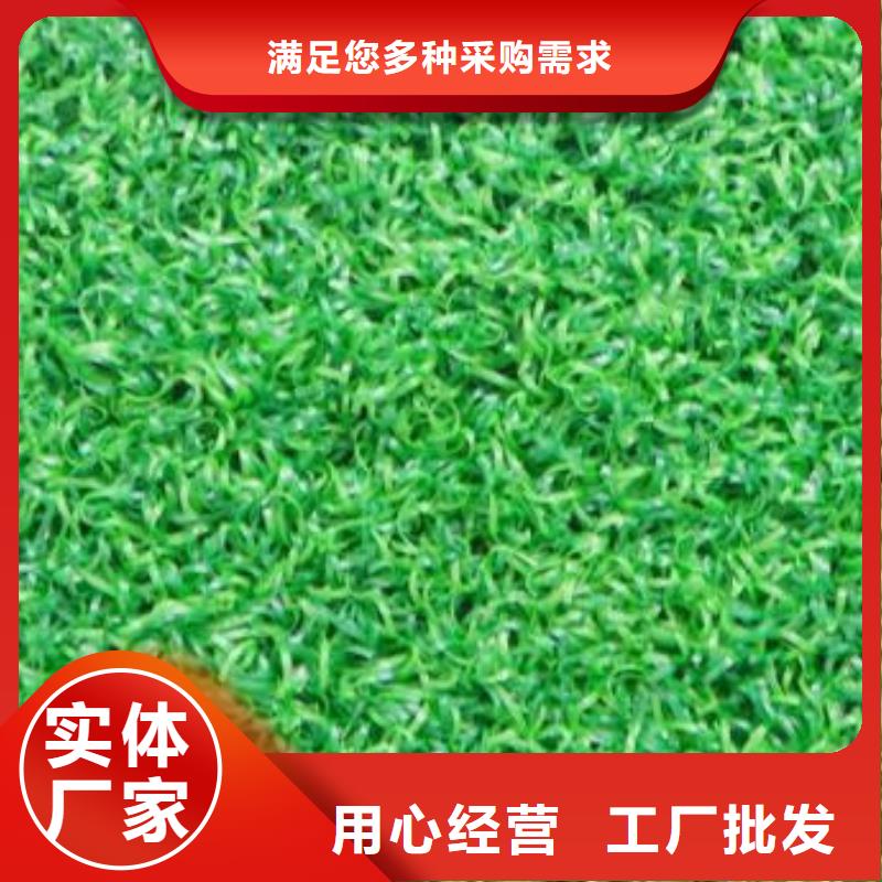 人造草坪PVC塑膠地板長期供應(yīng)