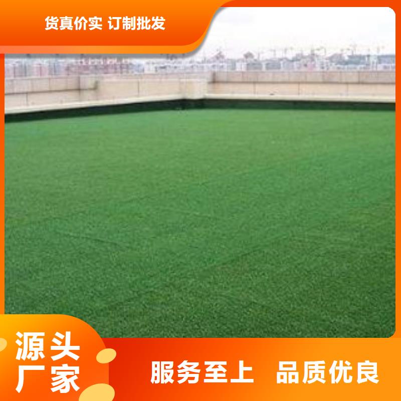 人造草坪PVC塑膠地板老品牌廠家