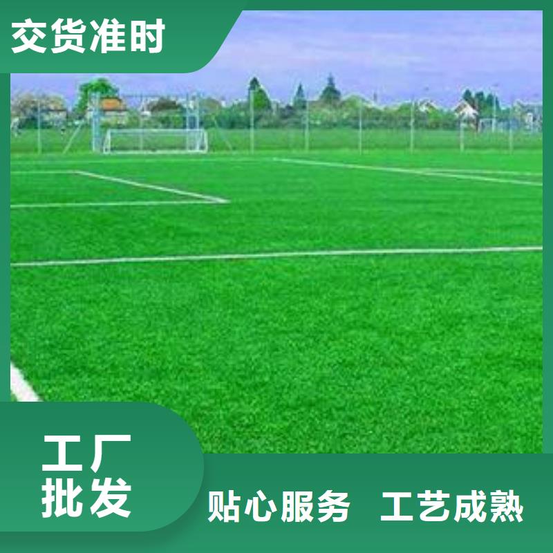 人造草坪-塑膠跑道施工批發(fā)價(jià)格