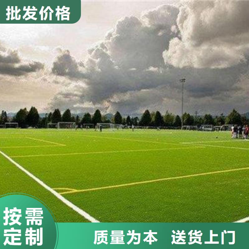 人造草坪塑胶跑道品种全
