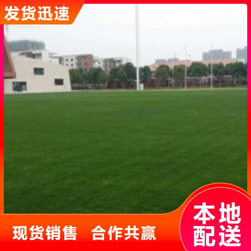 人造草坪塑胶跑道品种全