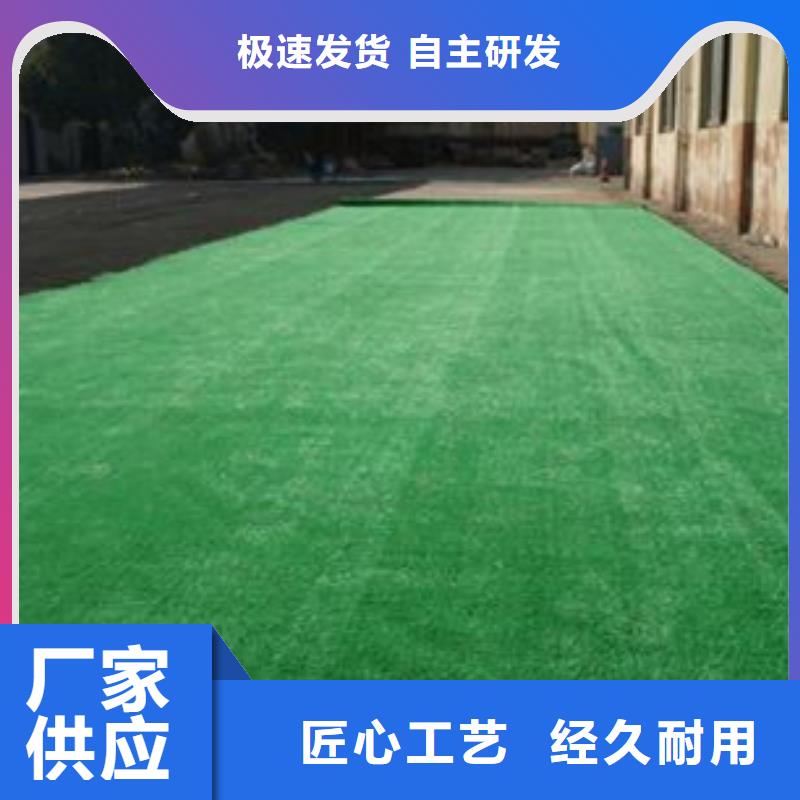 人造草坪室外塑胶跑道24小时下单发货