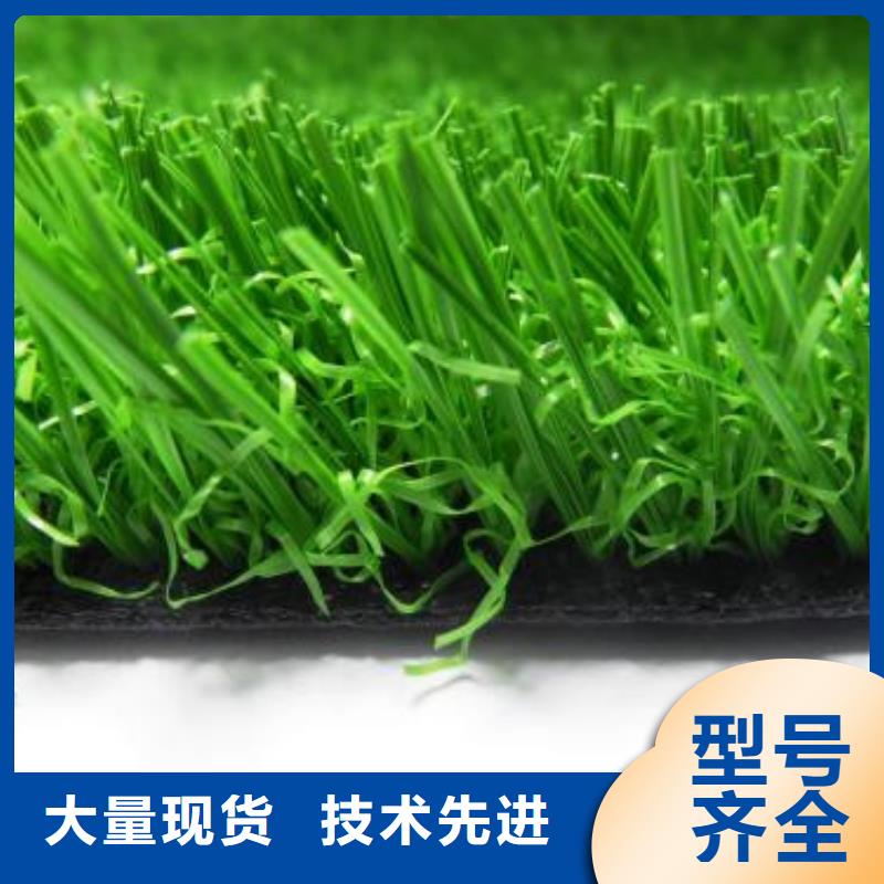 人造草坪PVC塑膠地板真材實(shí)料誠(chéng)信經(jīng)營(yíng)
