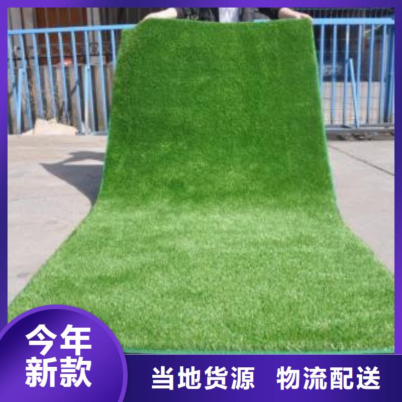 人造草坪塑胶跑道品种全