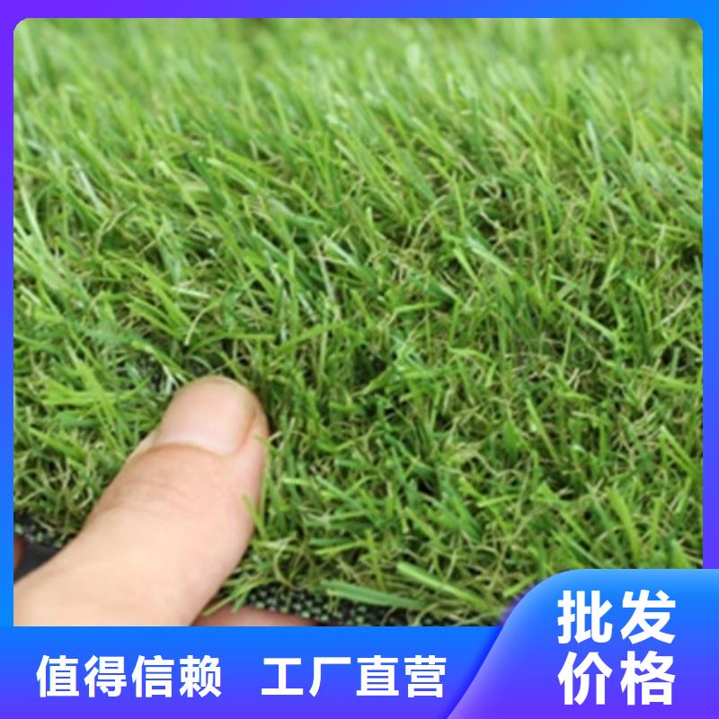 人造草坪PVC塑膠地板老品牌廠家