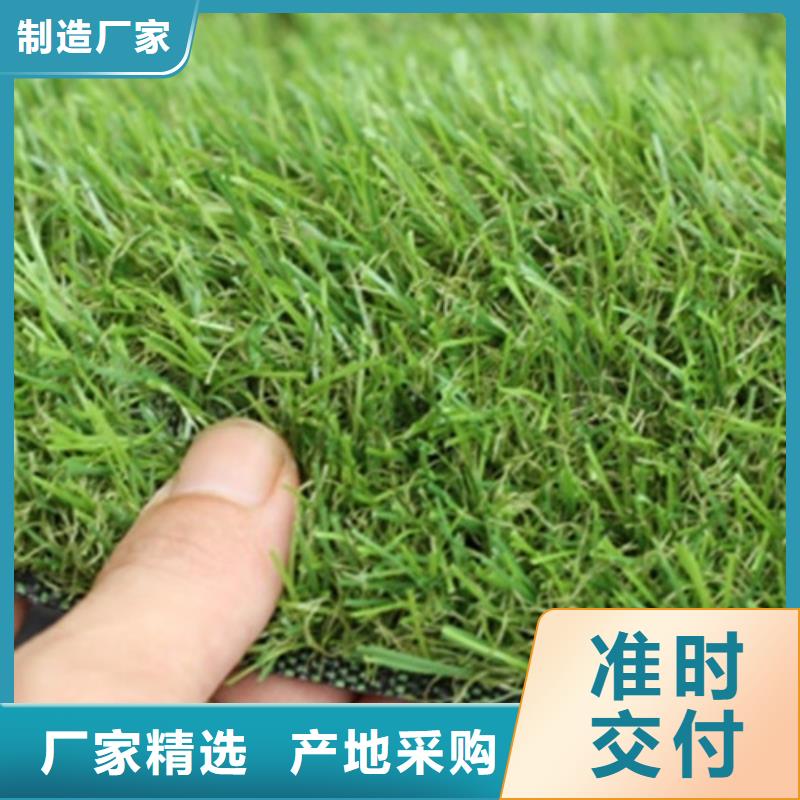 人造草坪塑膠跑道自有廠家