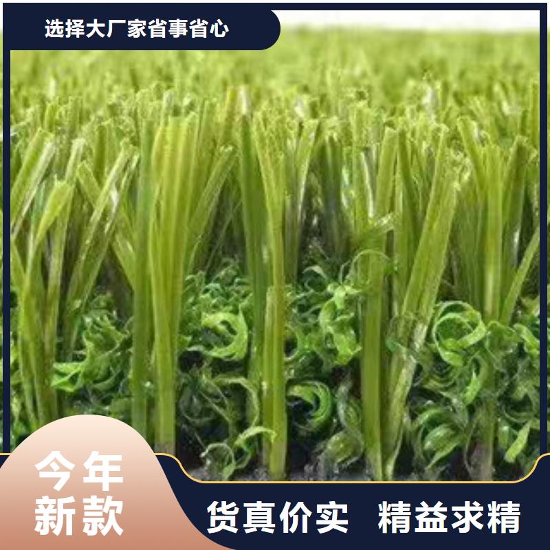 人造草坪塑膠跑道自產(chǎn)自銷