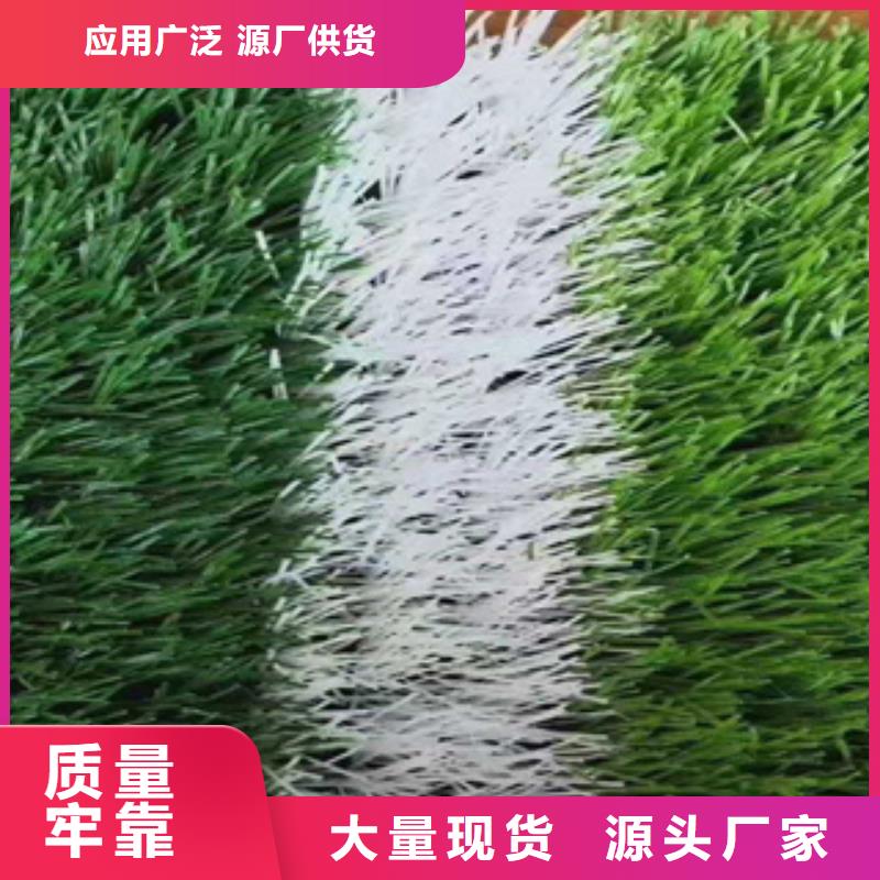 人造草坪PVC塑膠地板老品牌廠家