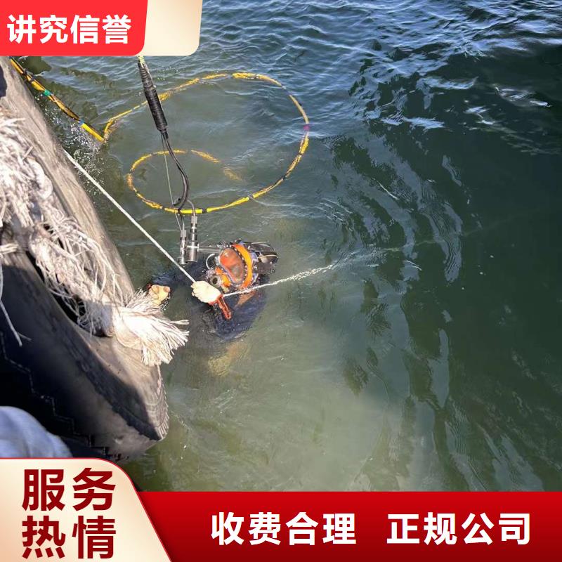水下攝影用實(shí)力說(shuō)話(huà)
