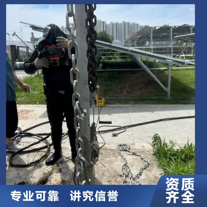 水下攝影深耕水下領(lǐng)域