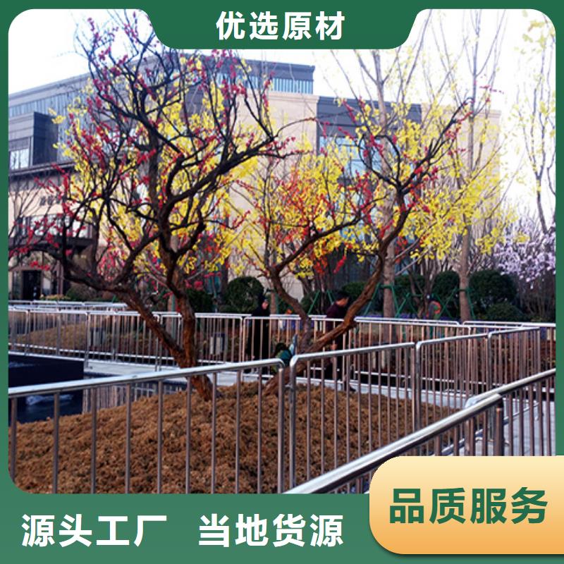 【铁马护栏出租双层篷房出租技术比较好】