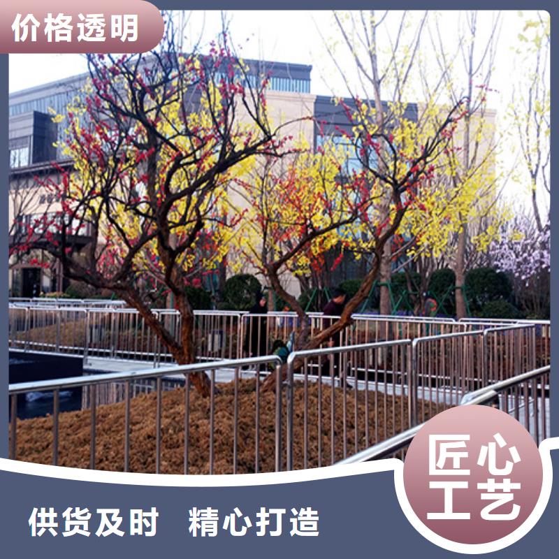 鐵馬護欄出租婚禮篷房出租從業(yè)經(jīng)驗豐富