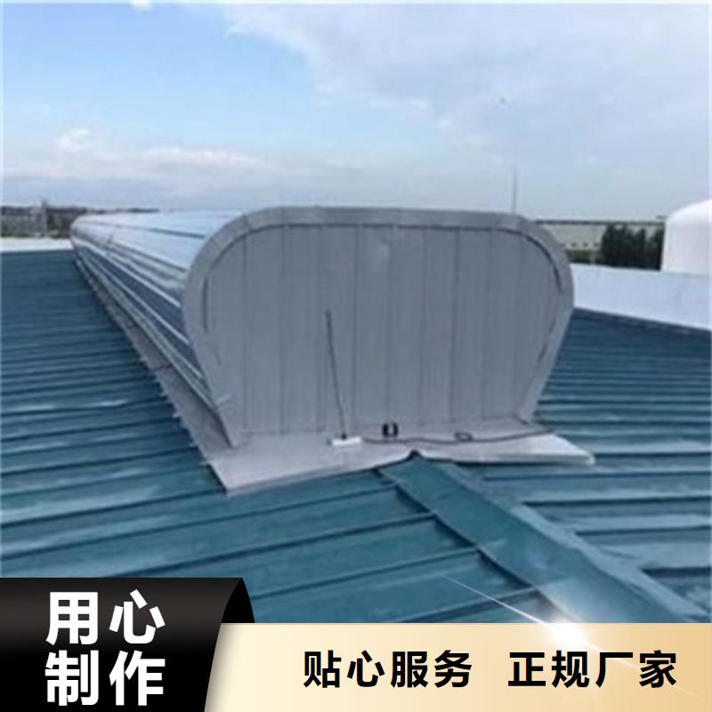 高品質TC2B-1540n啟閉式通風天窗供應商