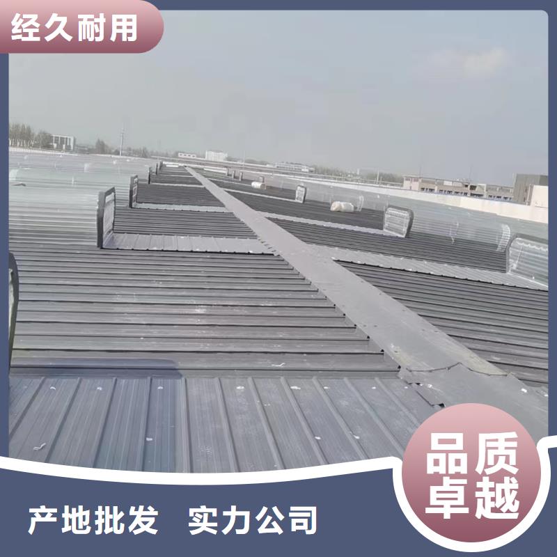 廠房通風(fēng)天窗_支持定制