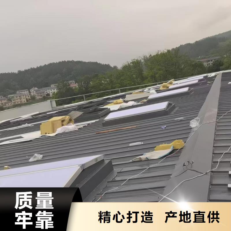 11型薄型通風(fēng)天窗質(zhì)量優(yōu)質(zhì)