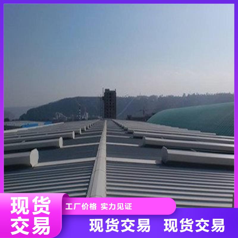屋脊薄型天窗放心購買
