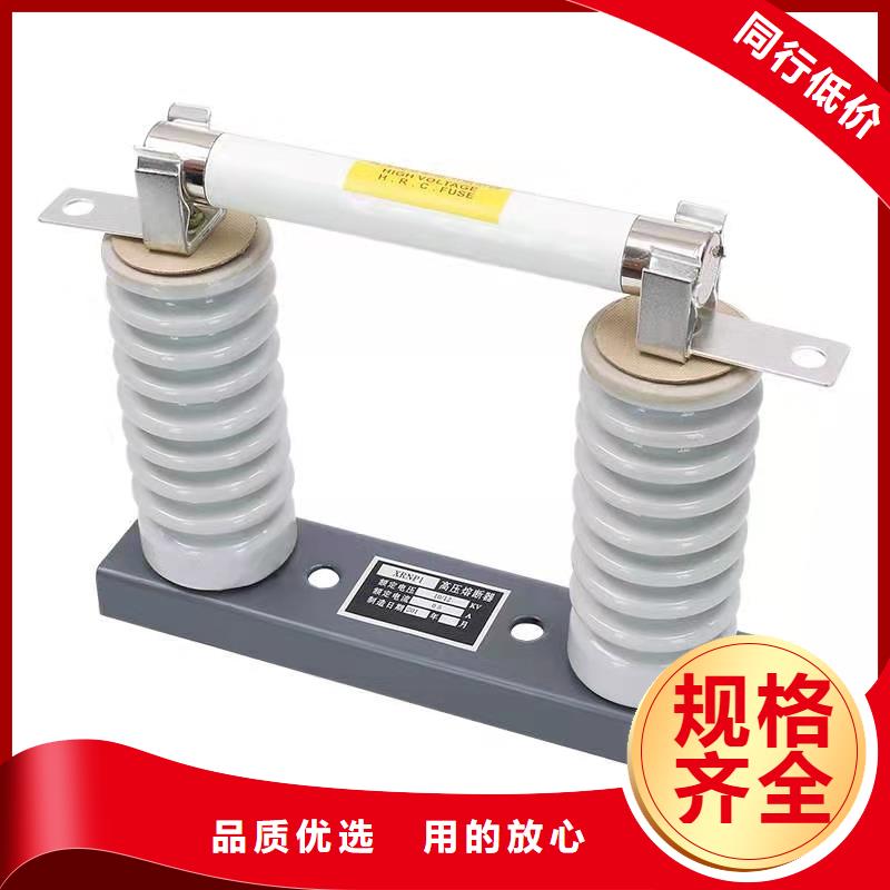 高壓熔斷器XRNP-10KV高壓限流熔斷器精挑細(xì)選好貨