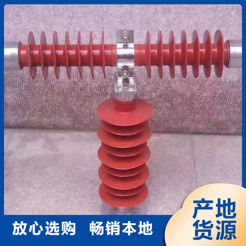 保护电压互感器用高压限流熔断器XRNP1-40.5/0.5厂家