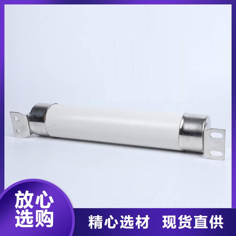 高壓熔斷器XRNP-10KV高壓限流熔斷器精挑細(xì)選好貨