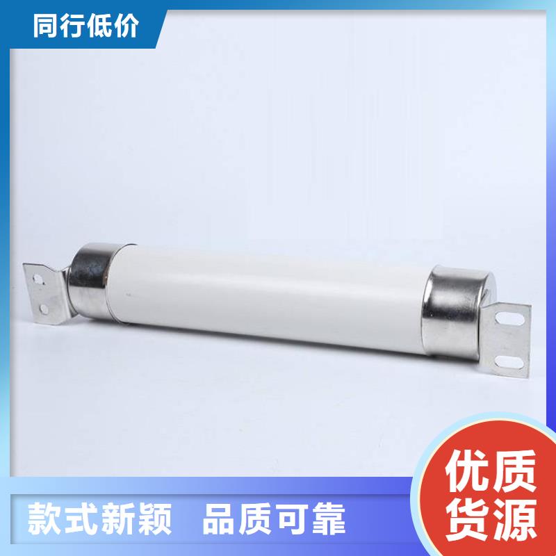 保護(hù)電壓互感器用高壓限流熔斷器XRNP1-24/0.5A低價(jià)