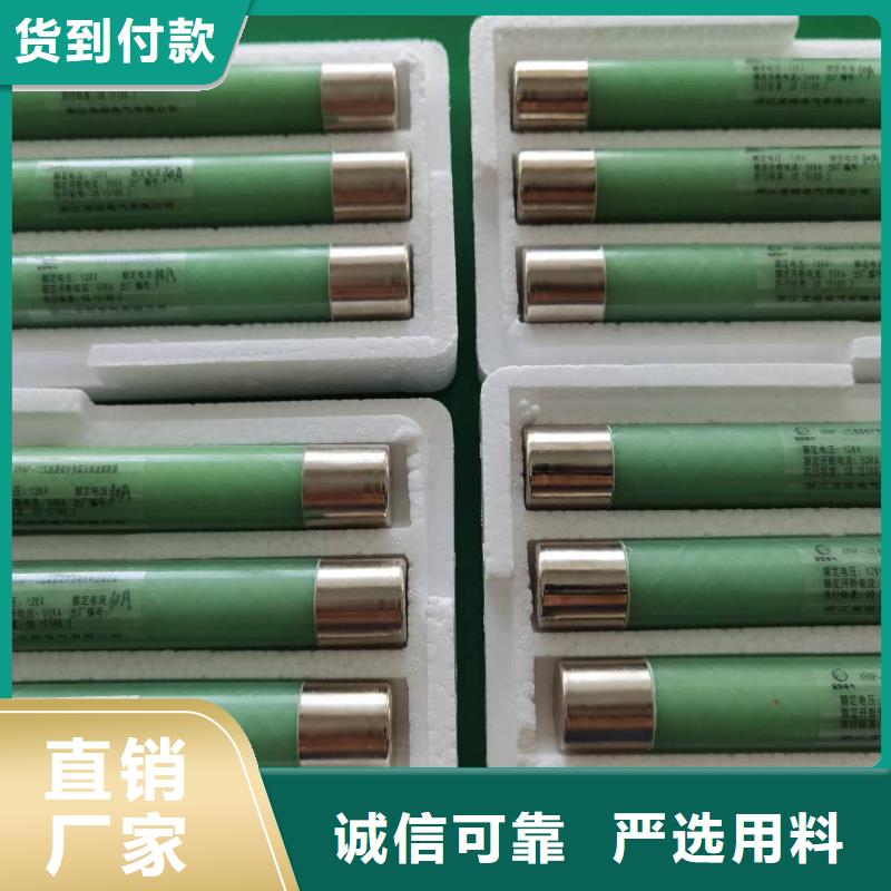 高压熔断器,GW9-12/630新型/老型用心制作
