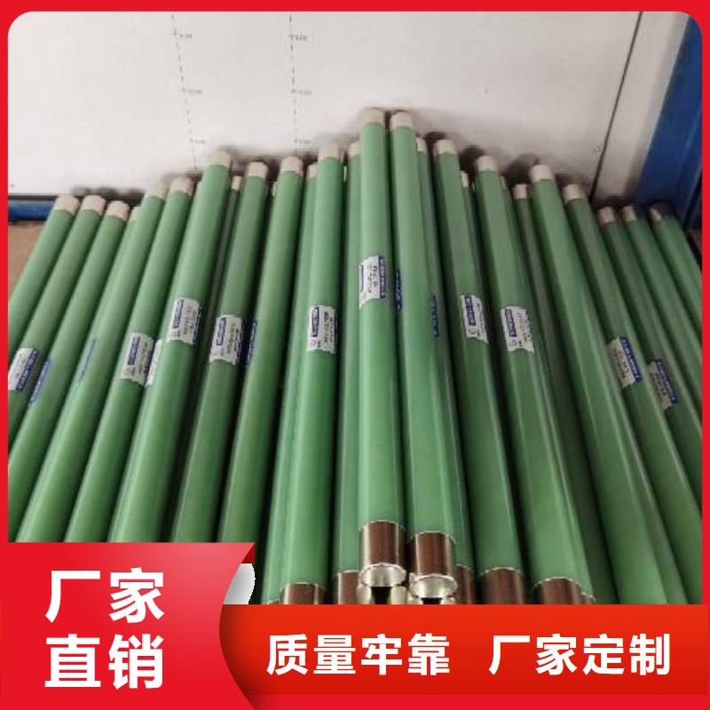 XRNP-12/0.5A互感器保護(hù)用高壓限流熔斷器