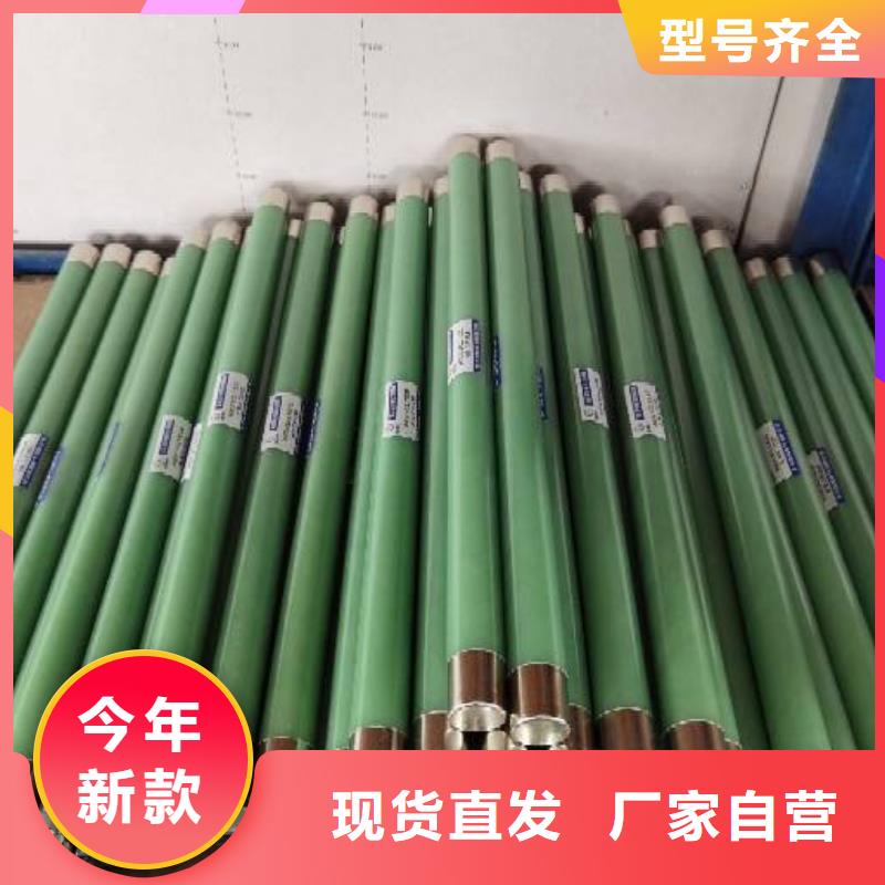 高壓熔斷器XRNP-35/3.15A5A