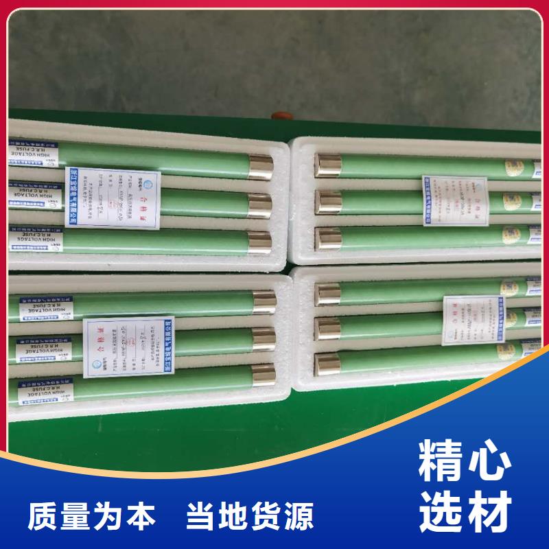 高压熔断器XRNT-12KV熔断器快速报价