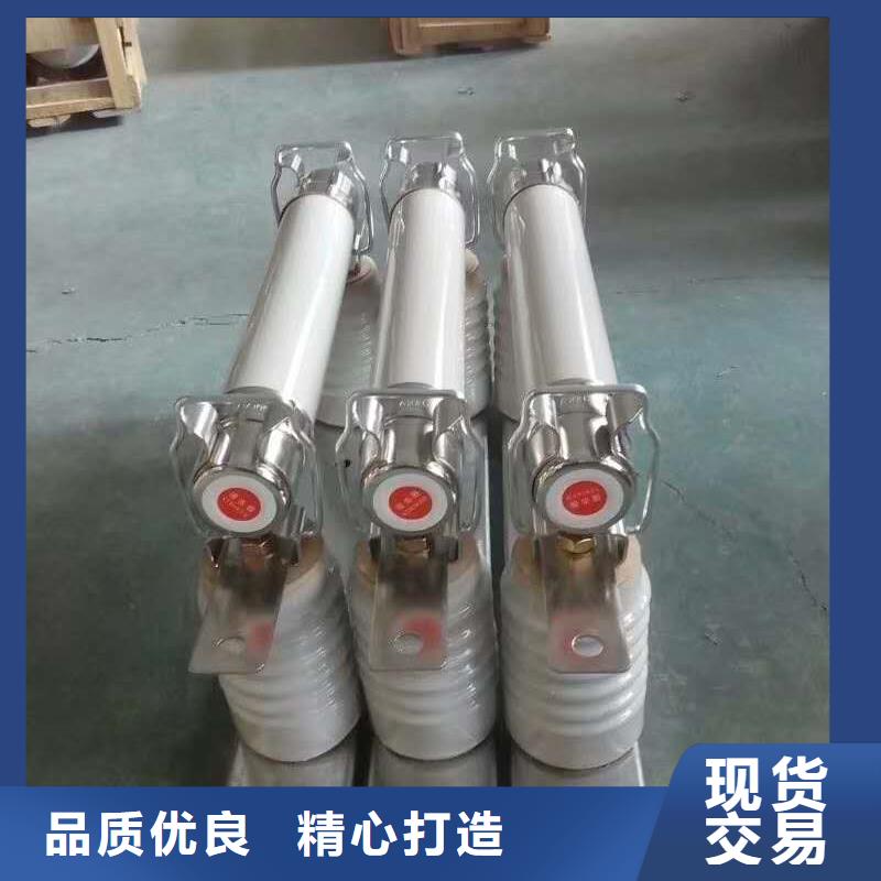 变压器保护用高压限流熔断器XRNT1-3.6KV/50A厂家直销