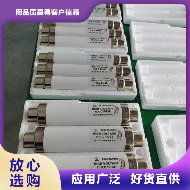变压器保护用高压限流熔断器XRNT1-10KV/50A选型