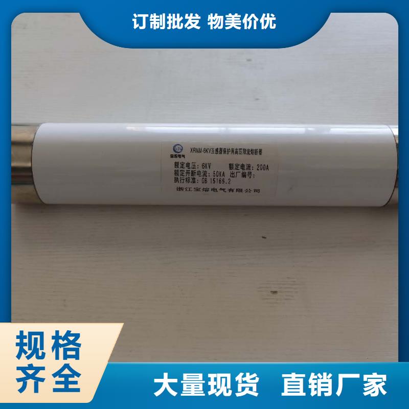 高壓熔斷器電磁鎖廠家