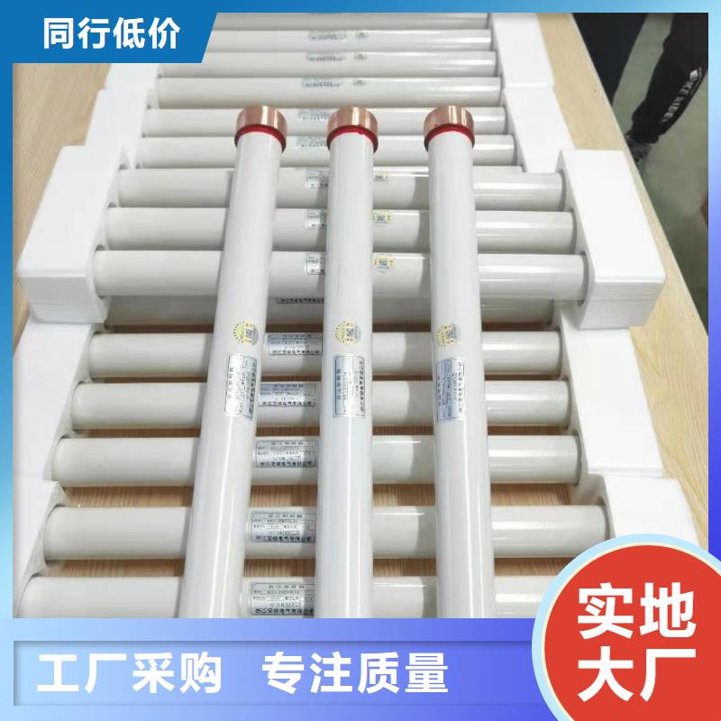 高压熔断器,GW9-12/630新型/老型用心制作