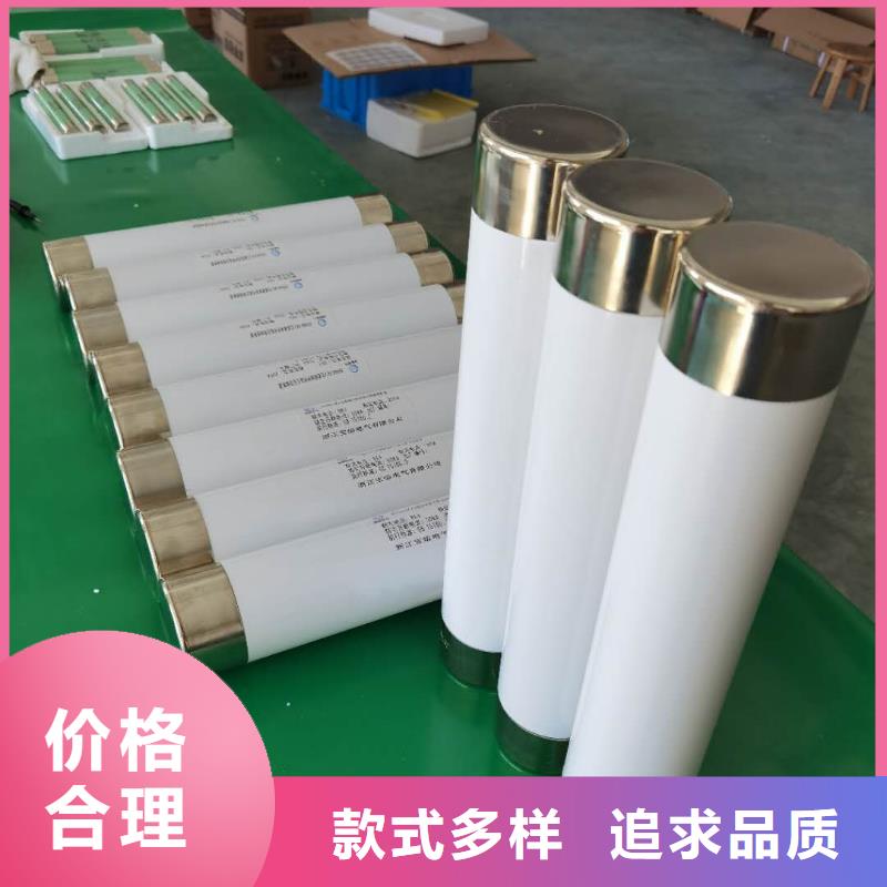 高壓熔斷器XRNP-10KV高壓限流熔斷器精挑細(xì)選好貨