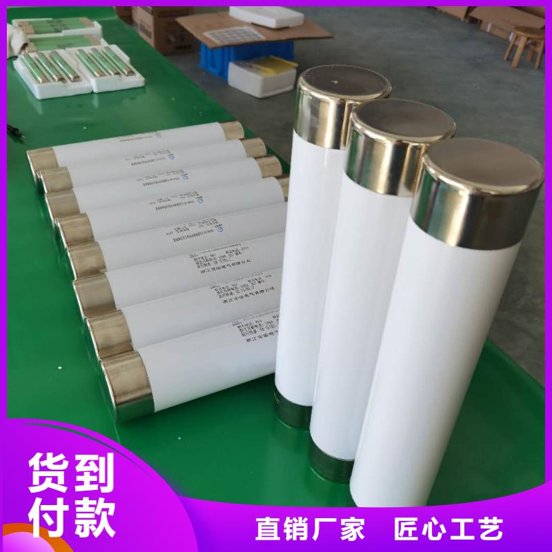 高压熔断器高压氧化锌避雷器专注品质