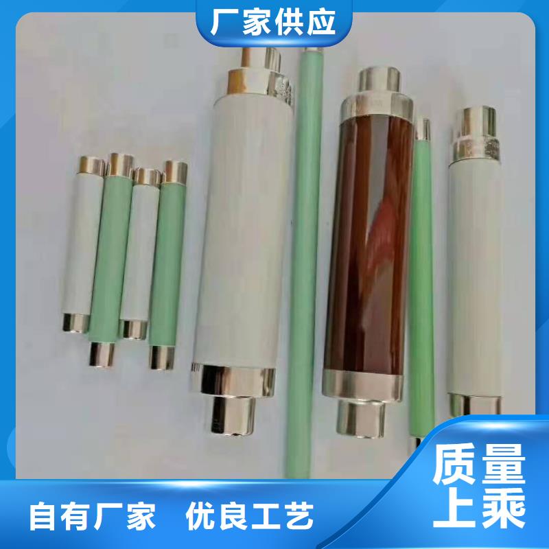保護(hù)電壓互感器用高壓限流熔斷器XRNP1-12/0.5A