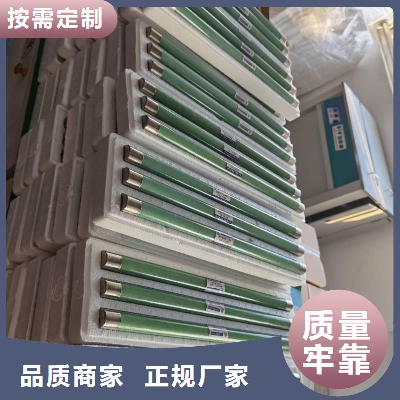 XRNP-12/0.5A互感器保護(hù)用高壓限流熔斷器