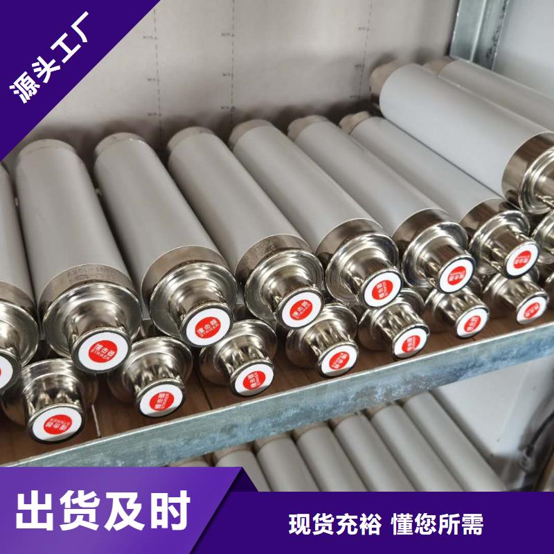 保護(hù)電壓互感器用高壓限流熔斷器XRNP1-24/0.5A低價(jià)