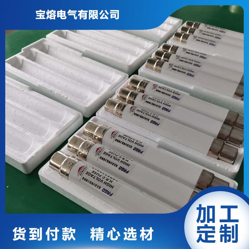 高壓熔斷器電磁鎖廠家