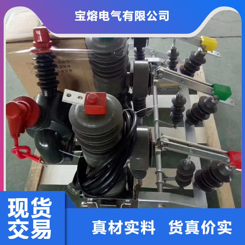 真空斷路器FKN12-12/630A經(jīng)驗(yàn)豐富品質(zhì)可靠