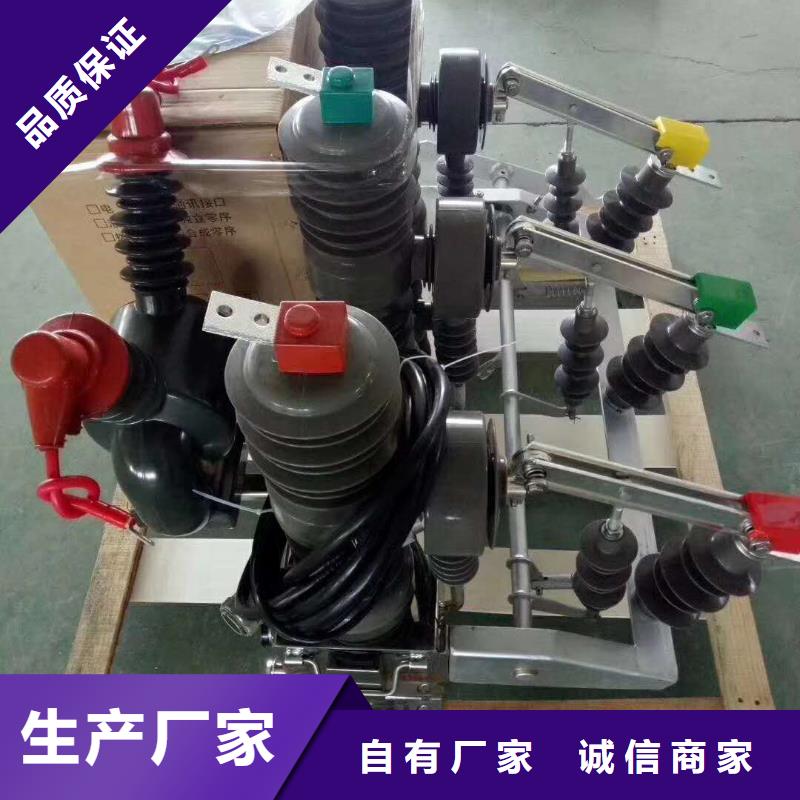 真空斷路器FKN12-12/630A經(jīng)驗(yàn)豐富品質(zhì)可靠