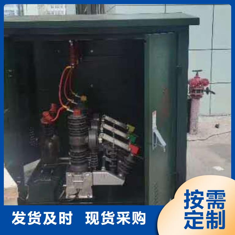 真空断路器高压限流熔断器厂家自营