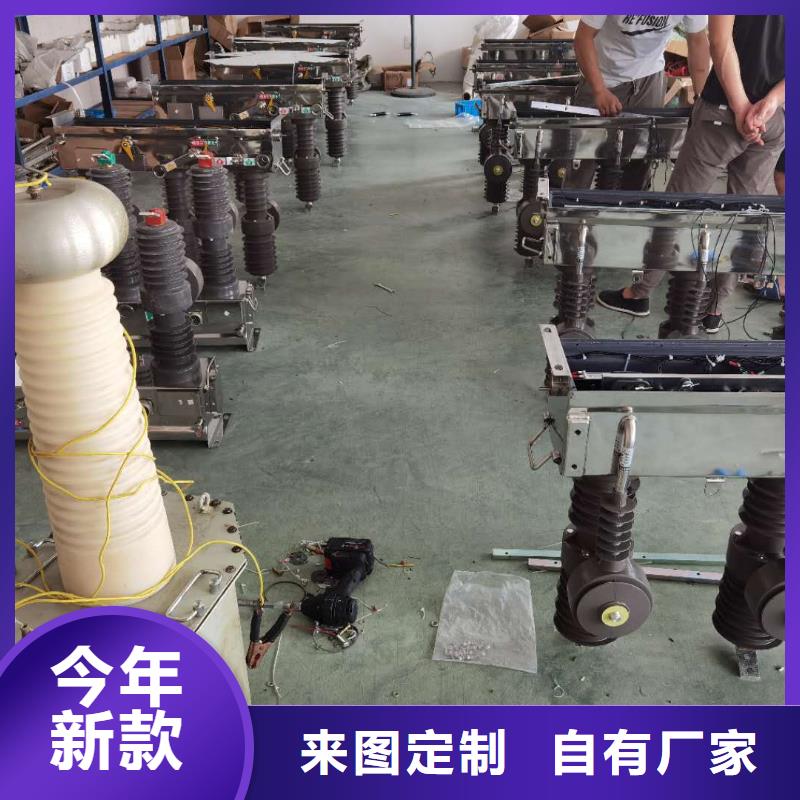 真空斷路器FKN12-12/630A經(jīng)驗(yàn)豐富品質(zhì)可靠