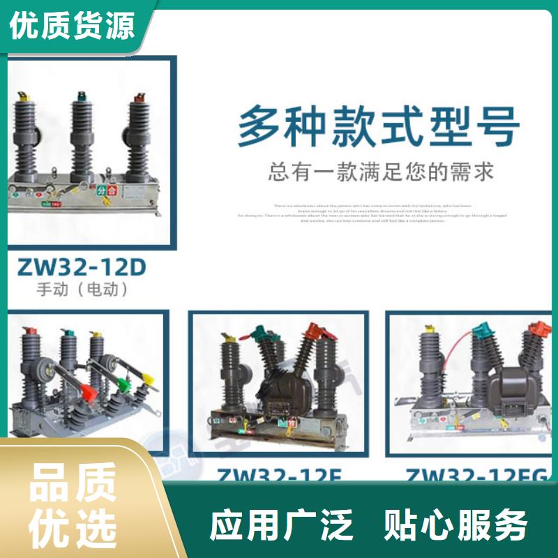 真空断路器_户外高压真空智能断路器厂家精选