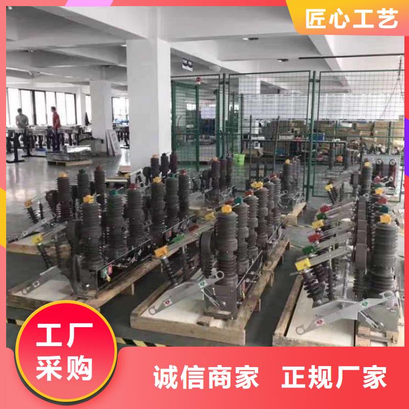 真空斷路器FKN12-12/630A經(jīng)驗(yàn)豐富品質(zhì)可靠