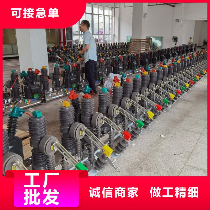 真空斷路器FKN12-12/630A經(jīng)驗(yàn)豐富品質(zhì)可靠